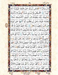 Para No 12 Page No 245