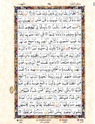 Para No 15 Page No 305