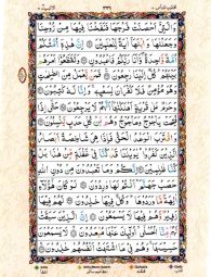 Para No 17 - Page No 339