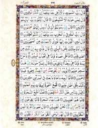 Para No 19 - Page No 377