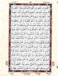 Para No 27 - Page No 545